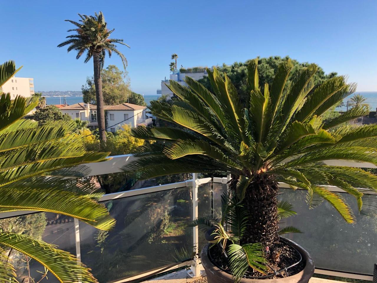 Apartment Gorgeous One-bedroom With Terrace And Sea View -stayinantibes- Bijou